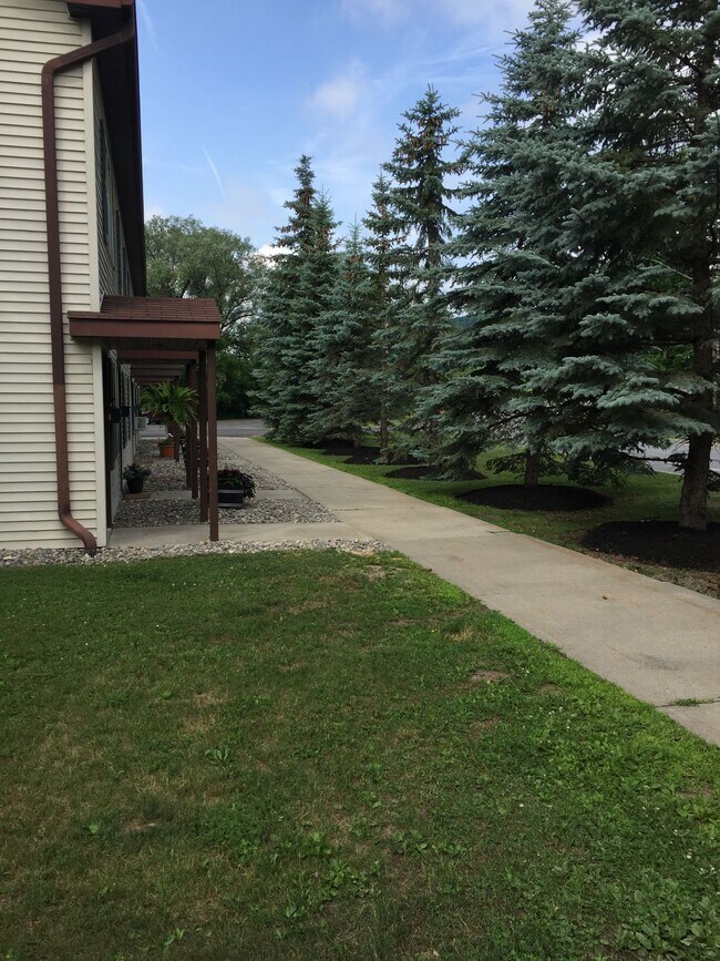 203 Elm St, Unit 12 in Cobleskill, NY - Foto de edificio - Building Photo