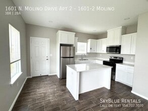 1601 Molino Dr in Edinburg, TX - Building Photo - Building Photo