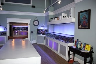 The Hamilton Apartment in Shreveport, LA - Foto de edificio - Building Photo