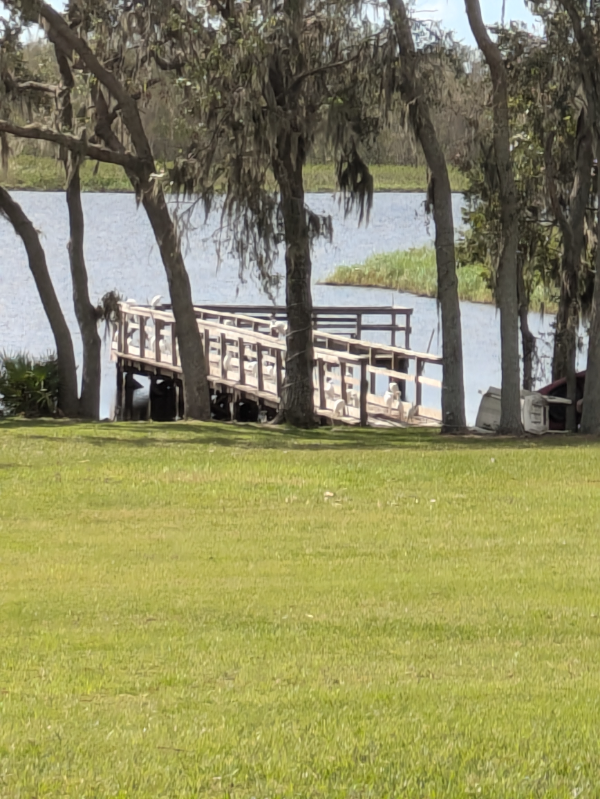 25916 FL-64 in Myakka City, FL - Foto de edificio - Building Photo