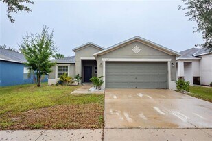 8117 Alamosa Wood Ave in Ruskin, FL - Building Photo