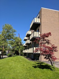 900 S. Negley Avenue in Pittsburgh, PA - Foto de edificio - Building Photo