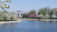 Ironwood Gardens Apartments photo'