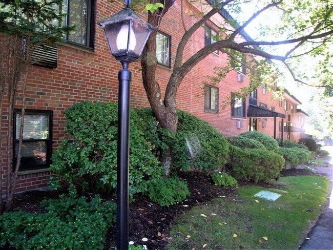 1323 Worcester Rd, Unit E7 in Framingham, MA - Building Photo - Building Photo