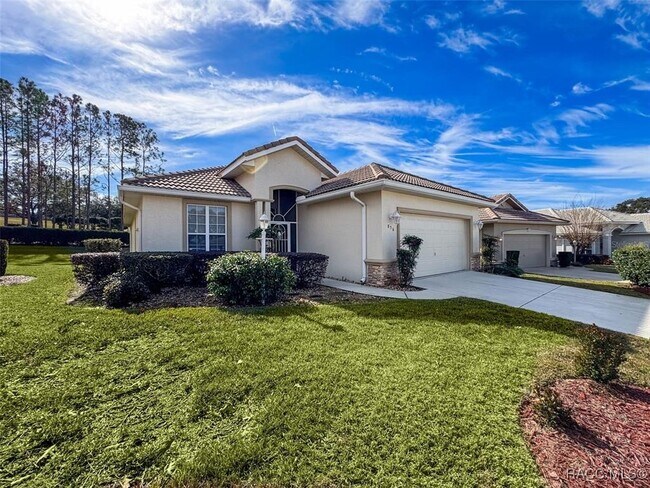 856 W Silver Meadow Loop in Hernando, FL - Building Photo - Building Photo