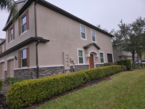 26917 Juniper Bay Dr in Wesley Chapel, FL - Building Photo - Building Photo