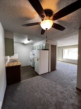 380 Paradise Cir, Unit A-6 in Woodland Park, CO - Building Photo - Building Photo