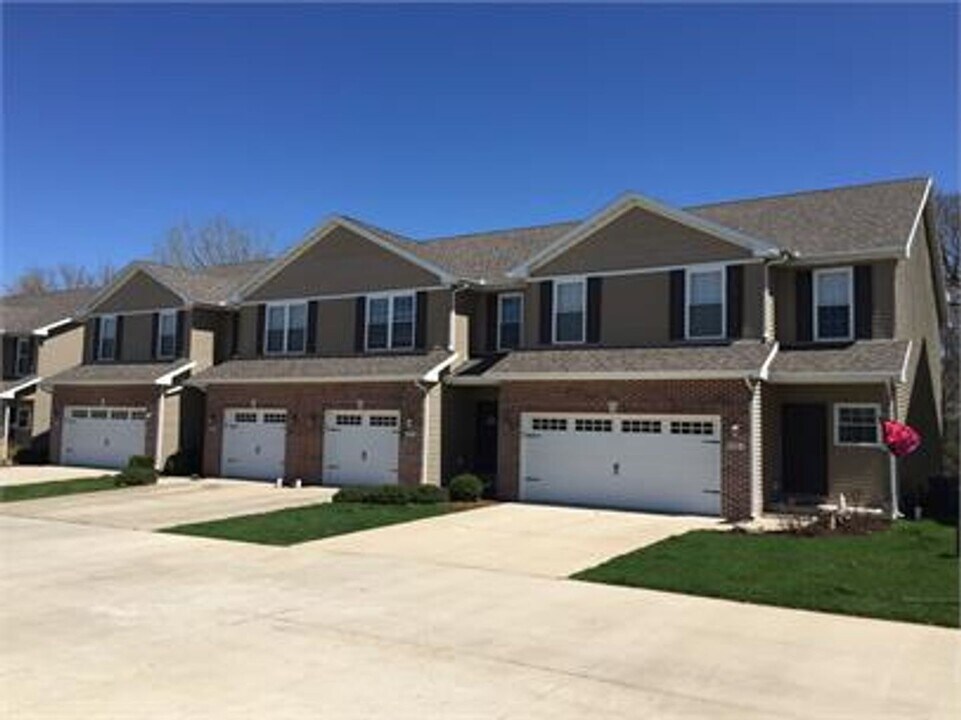 1604 S Division St in Mahomet, IL - Building Photo