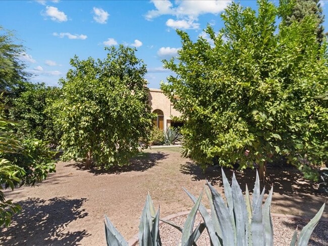 10563 E Carol Ave in Scottsdale, AZ - Foto de edificio - Building Photo