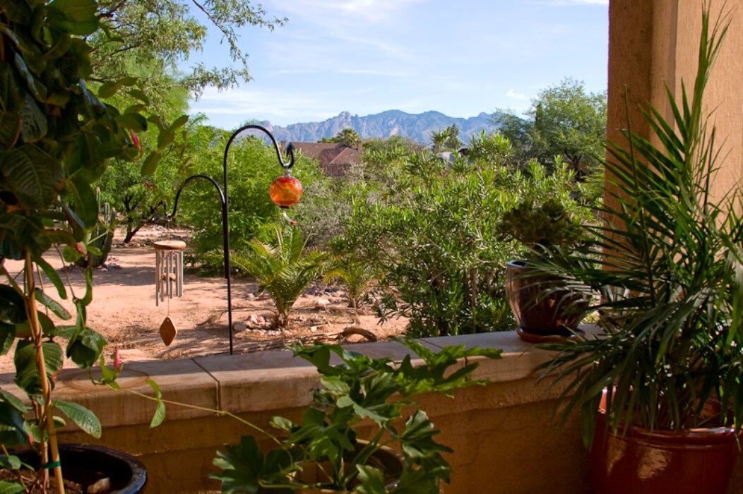 901 N 3rd Ave in Tucson, AZ - Building Photo