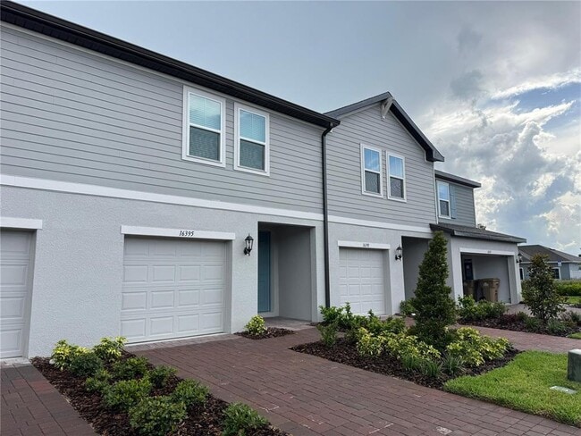 16395 Bird of Paradise Ave in Clermont, FL - Building Photo - Building Photo