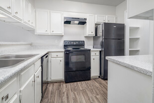 Vintage at Oak Hill 1543 Babcock Rd San Antonio in San Antonio, TX - Building Photo