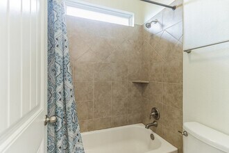 5900 Lipan Apache Bend in Austin, TX - Building Photo - Building Photo