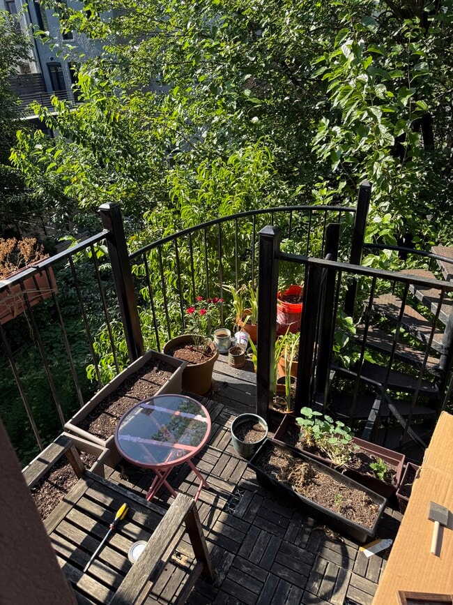 181 Hancock St in Brooklyn, NY - Building Photo - Building Photo