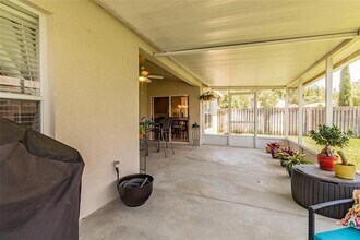 1252 Atticus Ct in Zephyrhills, FL - Building Photo - Building Photo