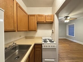 1169 N Dearborn St in Chicago, IL - Building Photo - Building Photo