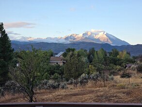 124 Deer Trail Ave in Carbondale, CO - Building Photo - Building Photo