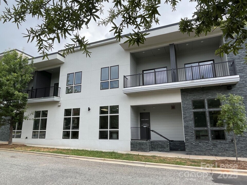 19546 Greentree Way in Cornelius, NC - Building Photo