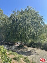 1131 Rancho Dr in Ojai, CA - Building Photo - Building Photo