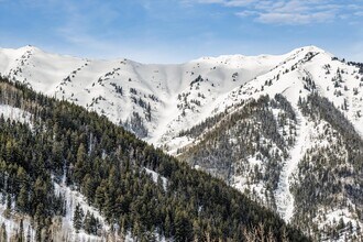 6770 Castle Creek Rd in Aspen, CO - Building Photo - Building Photo