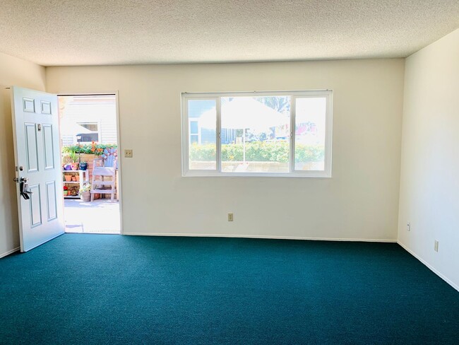 802 Jamaica Ct in San Diego, CA - Building Photo - Building Photo