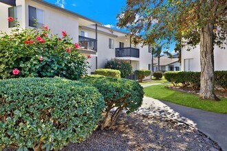Valley Breeze Apartments in San Diego, CA - Building Photo - Building Photo