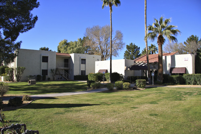 Saddletree Apartments in Scottsdale, AZ - Building Photo - Building Photo