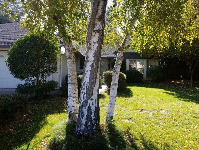 3257 Seedling Dr in Redding, CA - Building Photo - Building Photo