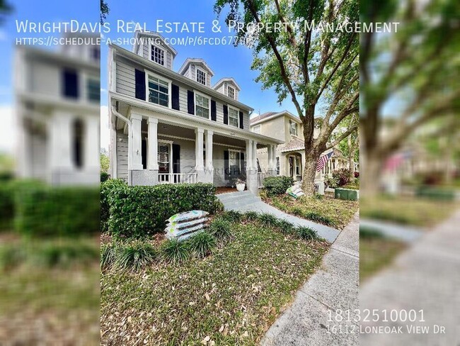 16112 Loneoak View Dr in Fish Hawk, FL - Building Photo - Building Photo