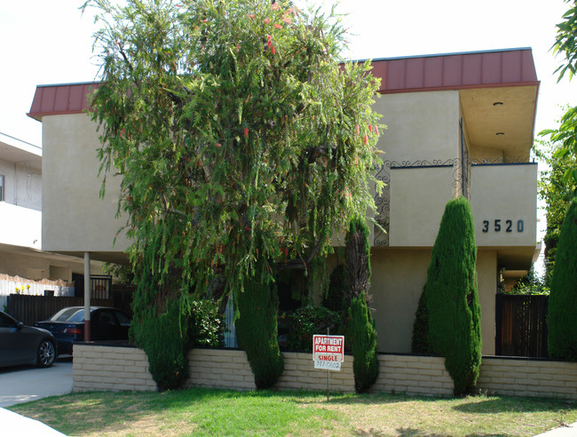 3520 Mentone Ave in Los Angeles, CA - Building Photo - Building Photo