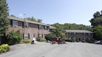 206 Dahlia Dr in Knoxville, TN - Building Photo