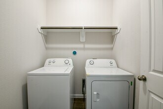 24967 Goldoni Dr in Katy, TX - Building Photo - Building Photo