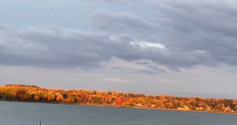 2972 Holland Dr in Auburn, NY - Building Photo