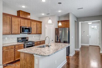 132 Vista Lake Cir in Nocatee, FL - Building Photo - Building Photo