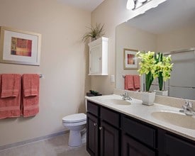 Albertson Village in Westmont, NJ - Foto de edificio - Building Photo