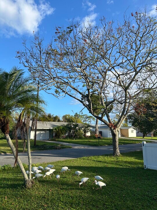 553 Peacock Rd in Daytona Beach, FL - Building Photo