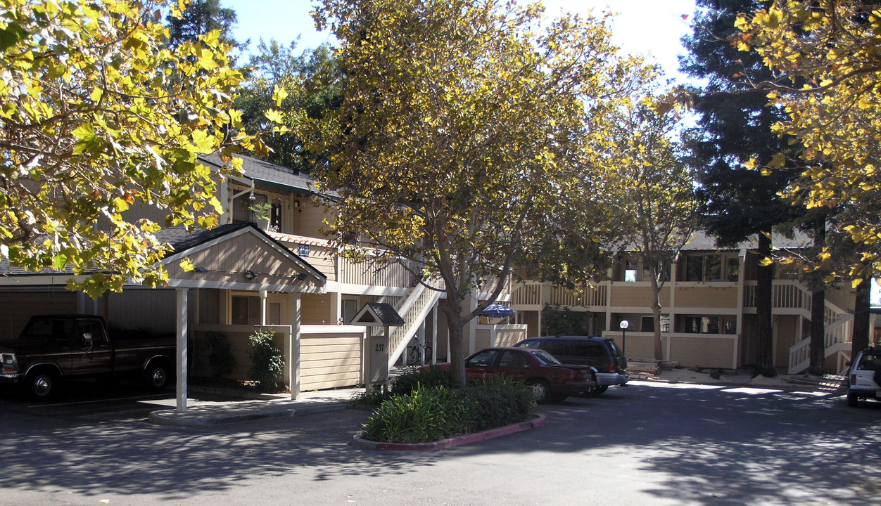 Maple Grove Apartments in Fairfield, CA - Building Photo