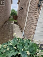 552 Ravenstone Ct in Mississauga, ON - Building Photo - Building Photo
