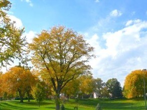 Edge25 in Denver, CO - Building Photo - Building Photo