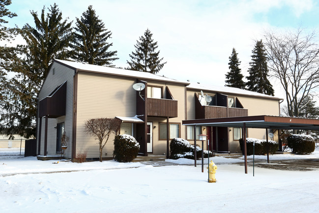 Mason Manor Townhouses & The Meadows in Mason, MI - Foto de edificio - Building Photo