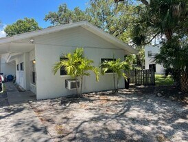 419 Pineapple St in Tarpon Springs, FL - Building Photo