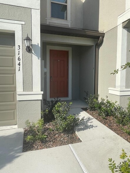 31641 Blue Passing Loop, Unit 324 in Wesley Chapel, FL - Building Photo - Building Photo