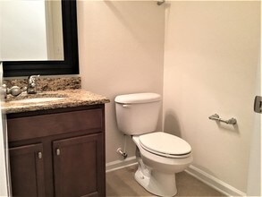 207 Buck Run Way in St. Augustine, FL - Building Photo - Building Photo