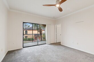2151 Chianti Pl in Palm Harbor, FL - Foto de edificio - Building Photo