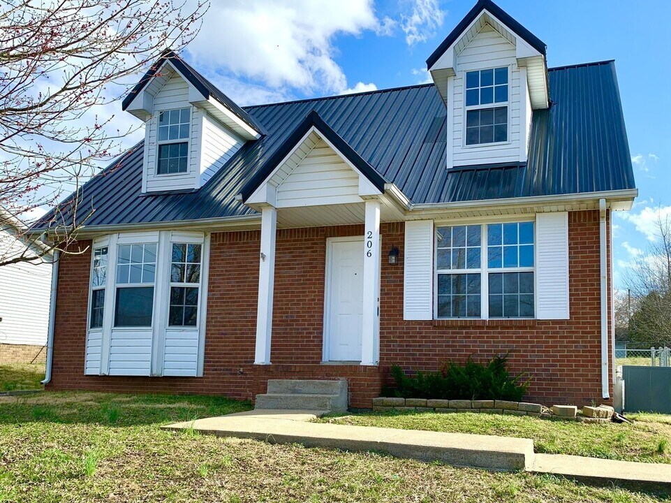 206 Mark Spitz Dr in Clarksville, TN - Building Photo