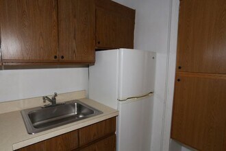 1167 N Dearborn St in Chicago, IL - Building Photo - Building Photo