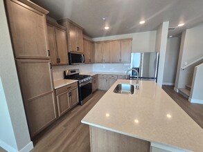 4828 River Roads Dr in Timnath, CO - Building Photo - Building Photo
