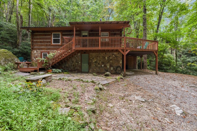 202 Blue Grass Rd in Roan Mountain, TN - Building Photo - Building Photo