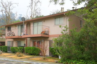 Ranchitos Park Apartments in San Rafael, CA - Building Photo - Building Photo