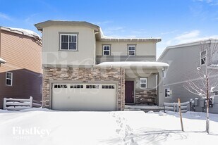1902 Villageview Ln in Castle Rock, CO - Building Photo